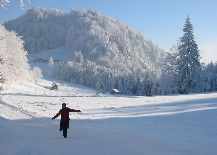 Salzkammergut, A Place To Enjoy * Traunkirchen